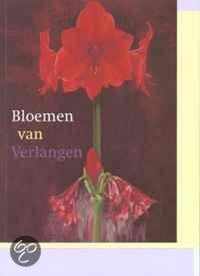 Bloemen Van Verlangen