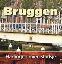 Bruggen in Harlingen Mien Stadsje 7