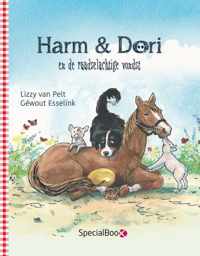 Harm & Dori en de raadselachtige vondst