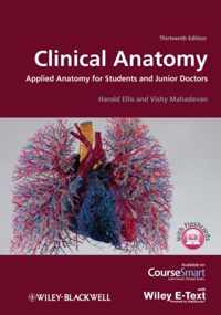 Clinical Anatomy