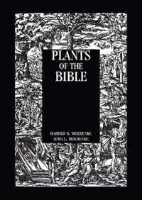 Plants of the Bible