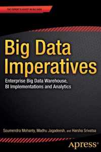 Big Data Imperatives