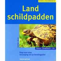 Landschildpadden