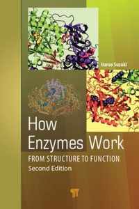 How Enzymes Work