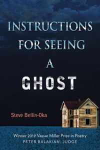 Instructions for Seeing a Ghost