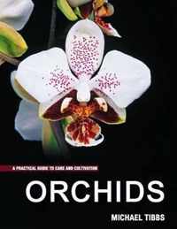 Orchids