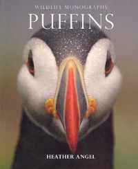 Puffins