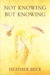 Not Knowing But Knowing