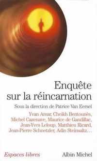 Enquete Sur La Reincarnation