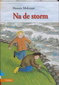 Na de storm