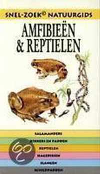 Snelzoek Natuurgids Amfibien En Reptiele