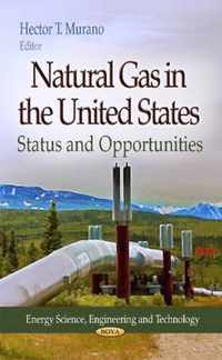 Natural Gas in the United States