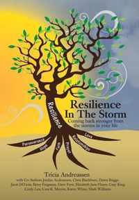 Resilience In The Storm