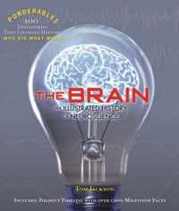 The Brain