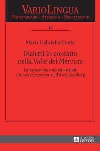 Dialetti in contatto nella Valle del Mercure; La variazione microdialettale e la sua percezione nell'Area Lausberg