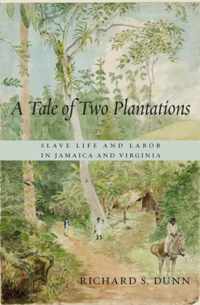 Tale Of Two Plantations