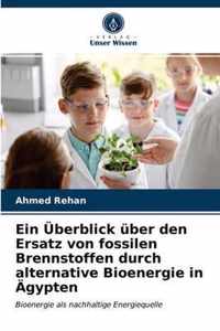 Ein UEberblick uber den Ersatz von fossilen Brennstoffen durch alternative Bioenergie in AEgypten