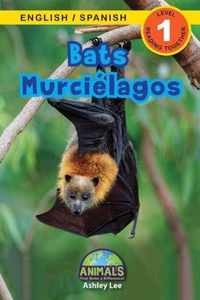 Bats / Murcielagos