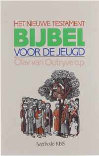 Het Nieuwe Testament - Bijbel voor de jeugd - O. van Outryve