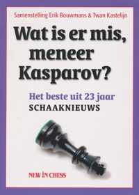 Wat is er mis, meneer Kasparov?