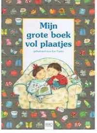 MIJN GROTE BOEK VOL PLAATJES