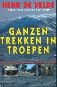 Ganzen trekken in troepen