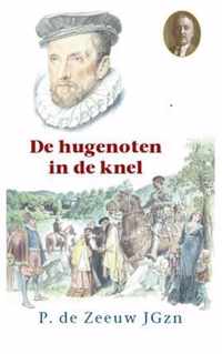 Historische reeks 29 -   De hugenoten in de knel