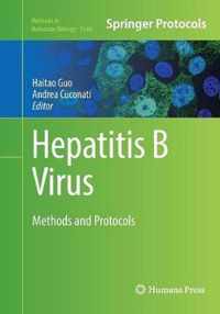 Hepatitis B Virus