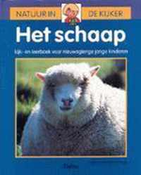 Natuur in de kijker 2. het schaap