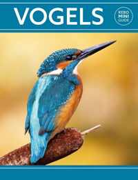 Rebo mini guide  -   Rebo mini guide - Vogels