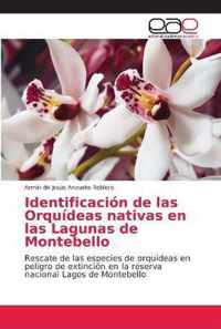 Identificacion de las Orquideas nativas en las Lagunas de Montebello