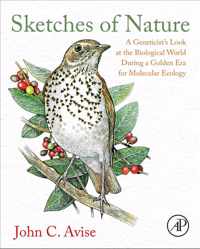 Sketches of Nature