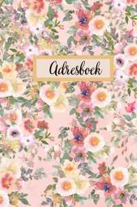 Adresboek - Telefoonregister - Gold Arts Books - Paperback (9789464483468)