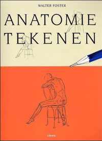 anatomie tekenen