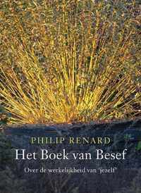 Het boek van besef