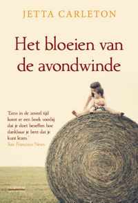 Het bloeien van de avondwinde