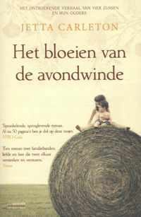 Het bloeien van de avondwinde