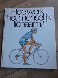 Hoe werkt het menselijk lichaam?