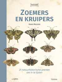 Natuur aan de muur  -   Zoemers en kruipers