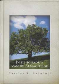 In de schaduw van de almachtige vhh1