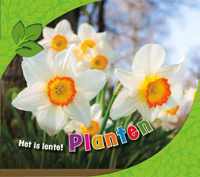 Het is lente!  -   Planten