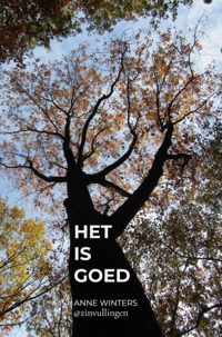 Het is goed - Anne Winters - Paperback (9789464482157)