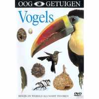 Vogels Geeft U Een Uniek Beeld Van De Evolutie, Het Gedrag En De Levenscyclus Van Vogels, De Enige Wezens Op Aarde Met Pluimen. We Gaan Naar Het Verre Dinosauriërverleden Van De Vogel En Ontdekken Het Ontstaan Van Vogelmythen En -Legenden.