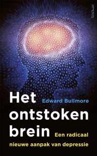 Het ontstoken brein