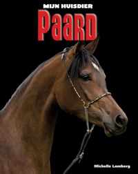 Paard - Michelle Lomberg - Hardcover (9789461751102)