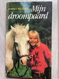 Mijn droompaard