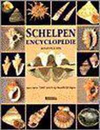 Schelpen Encyclopedie