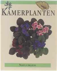 Kamerplanten