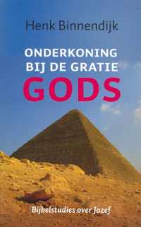 Onderkoning bij de gratie Gods