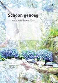 Schoon Genoeg